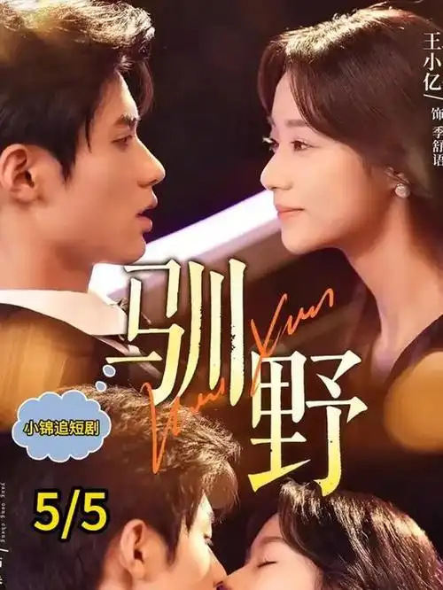 蜜桃在线视频短剧三十天重启人生海报